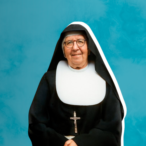 500X5SANTIDAD